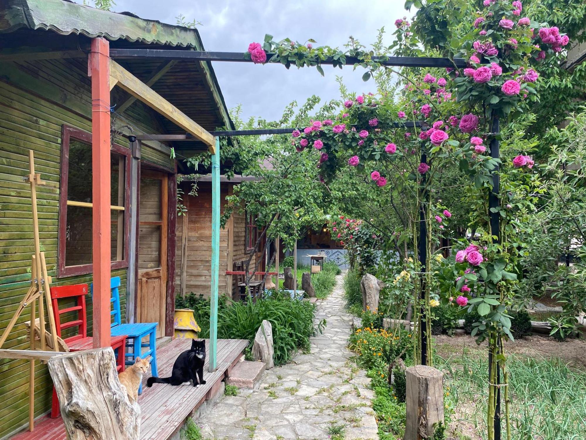 Philosophy Hotel Üçhisar Exterior foto